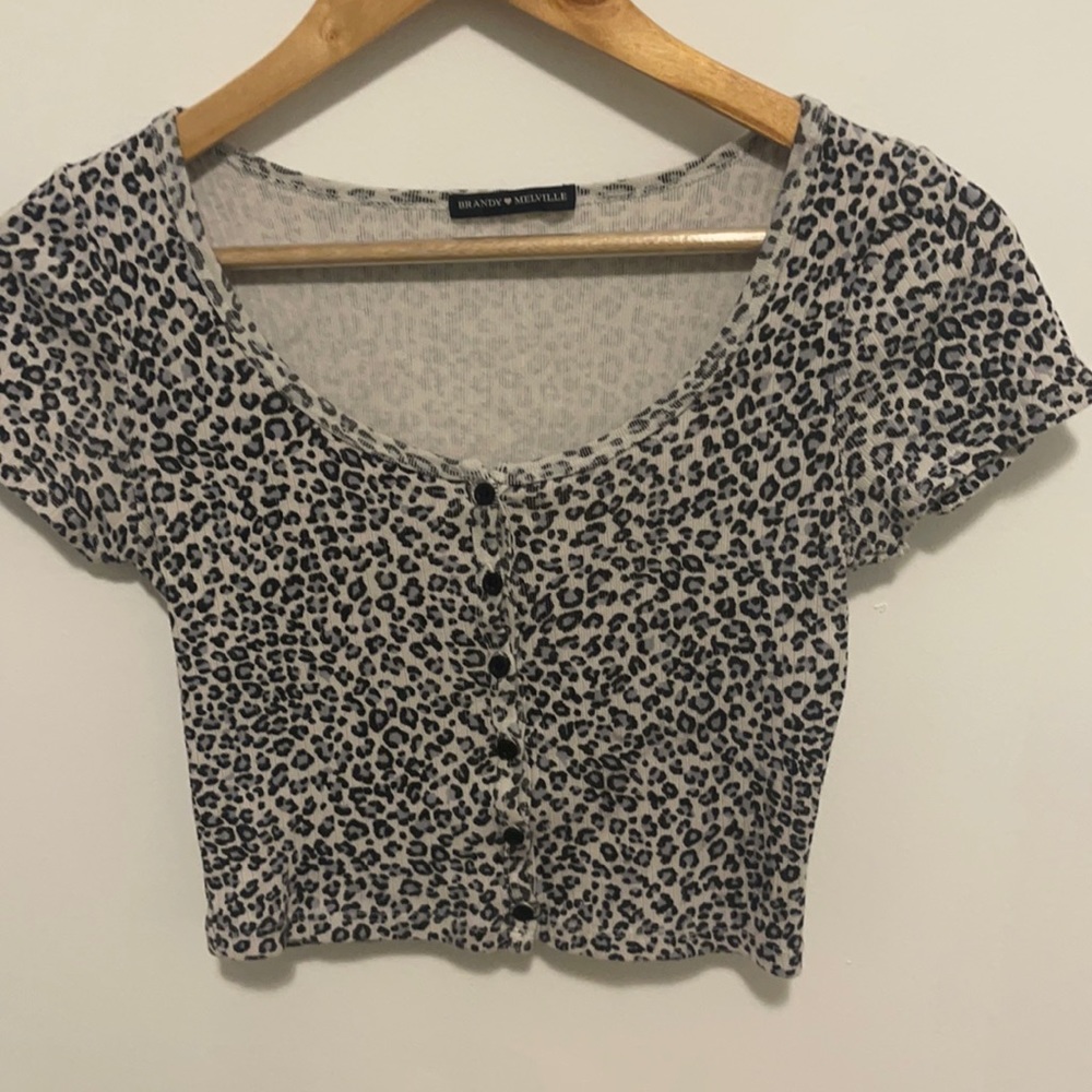 Cheetah Print Zelly - Brandy Melville